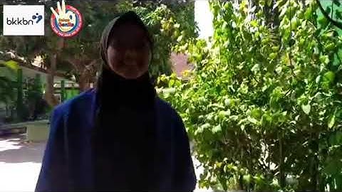 Gadis Amilia Zaliyanti Duta GenRe Situbondo 2020 | PIK Remaja Manda Sigap MAN 2 Situbondo