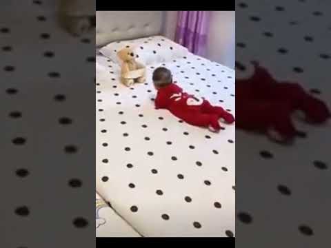 دبدوب يضحك طفلآ بقوه 