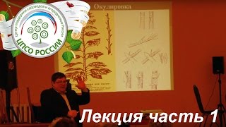 Обрезка и прививка плодовых деревьев. Часть 1. Прививка