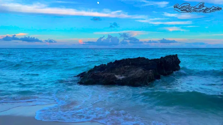 Ocean Wave Sleep Elixir - 4K Optimized Beach Frequencies