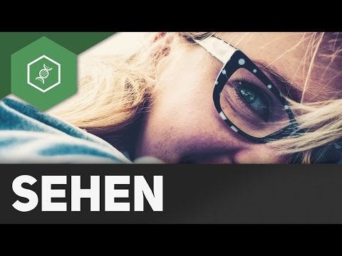 Moin! Bei 0:28 min sprechen wir von Reizweiterleitung, der korrekte Begriff ist jedoch Erregungsleit. 