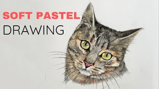 Painting a Cat in Soft Pastel | Step by step drawing tutorial | Easy drawing in Soft Pastel