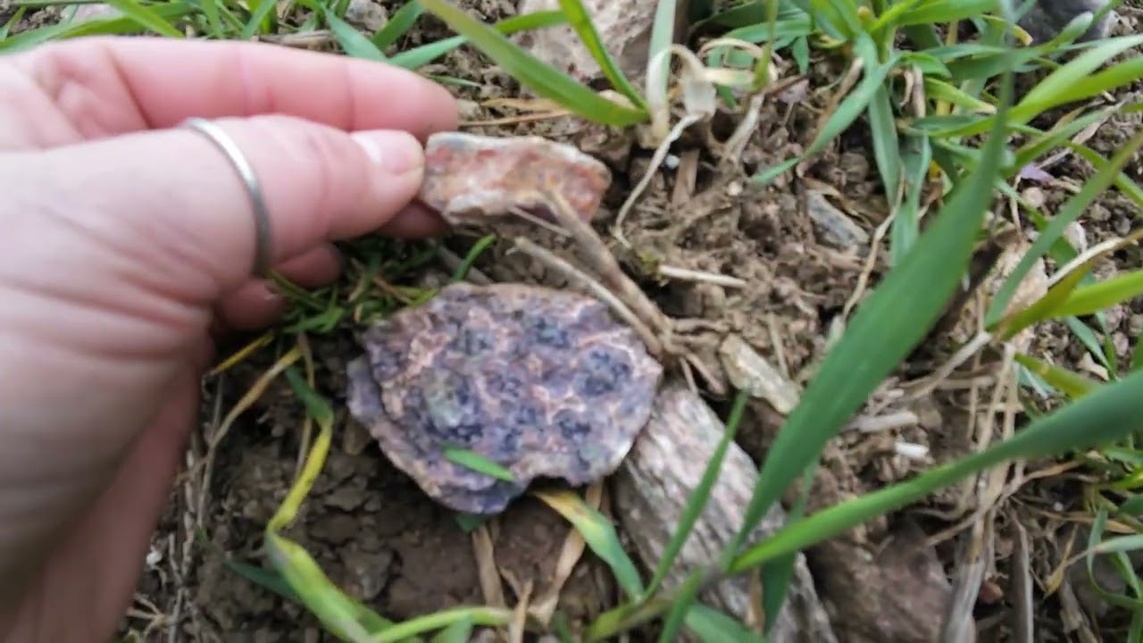 Fluorit  Steine suche im Erzgebirge