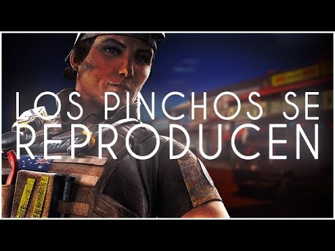 RAINBOW SIX SIEGE - AHORA LOS PINCHOS SE REPRODUCEN...