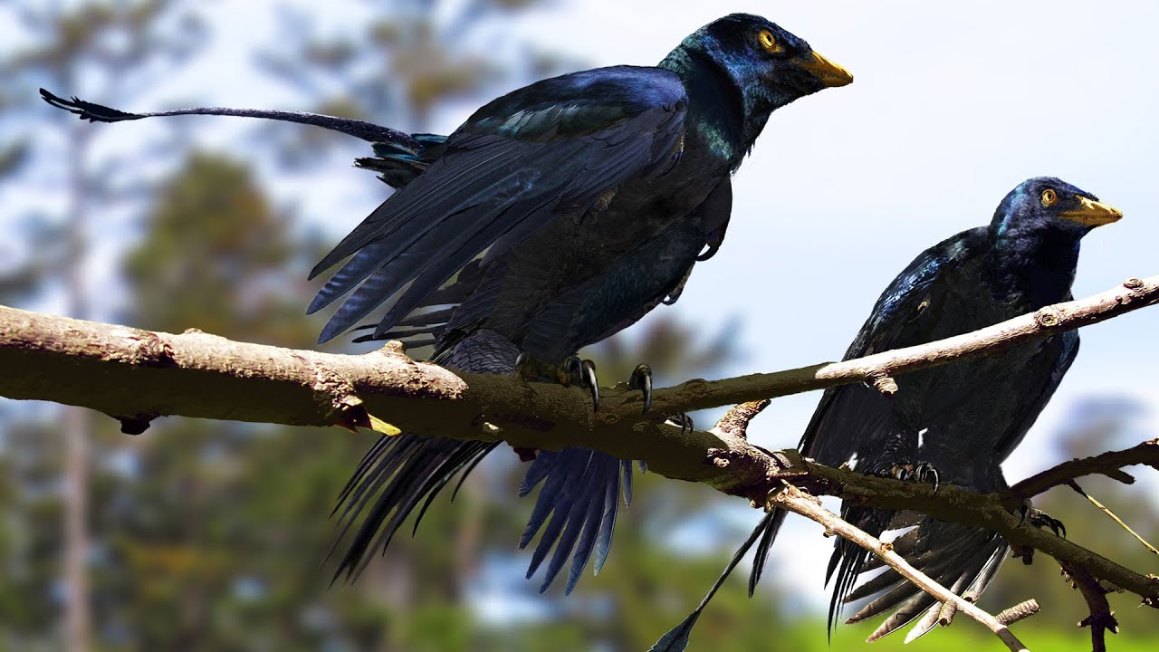 Image result for This ancient Chinese bird kept its feathers, and colours for some 130 million years