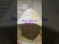 Support me subscribe #comedy #fun #memes #lifeisbutadream #duet