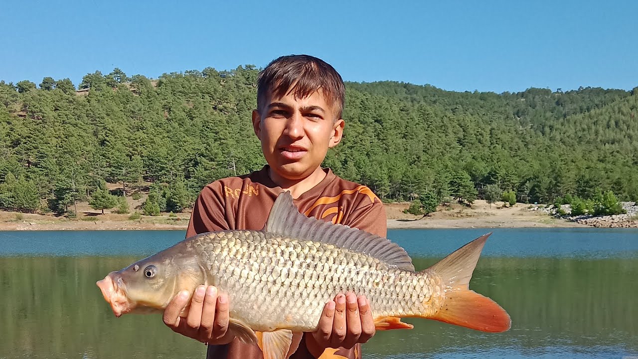 HARİKA BİR DOGADA SAZAN AVI VE KAMP#sazanavi #doğa #carpfishing