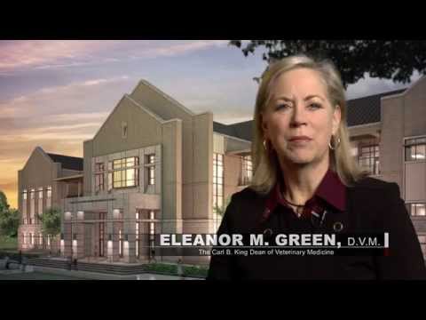 Texas A&M Veterinary & Biomedical Education Complex