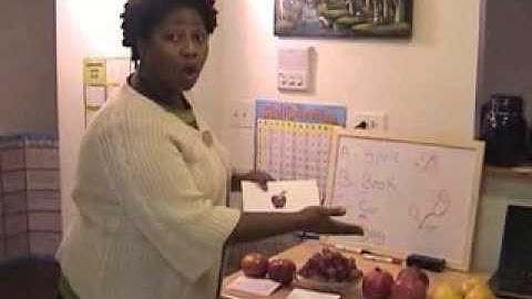 Special Education - Teaching Visual Impaired Child