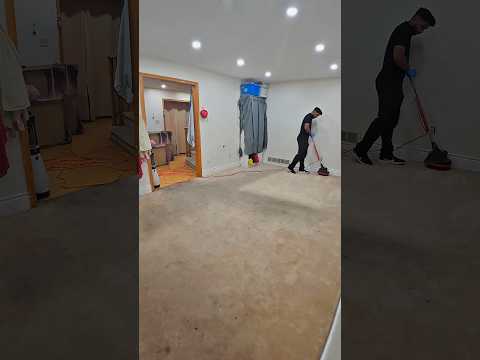 قالیشویی حرفه ای چیست