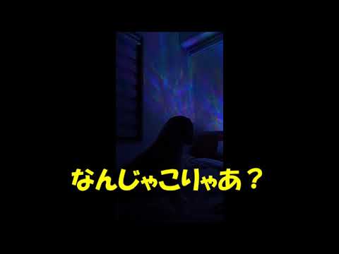なんじゃこりゃあ Youtube