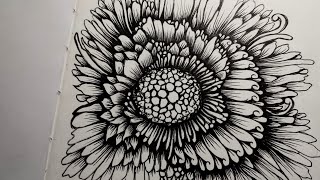 Draw a Beautiful Surreal Flower with me