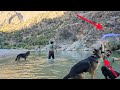 "The journey of Vali and her loyal dog Chico to the world of fishing."part1 🐟🐟🦈