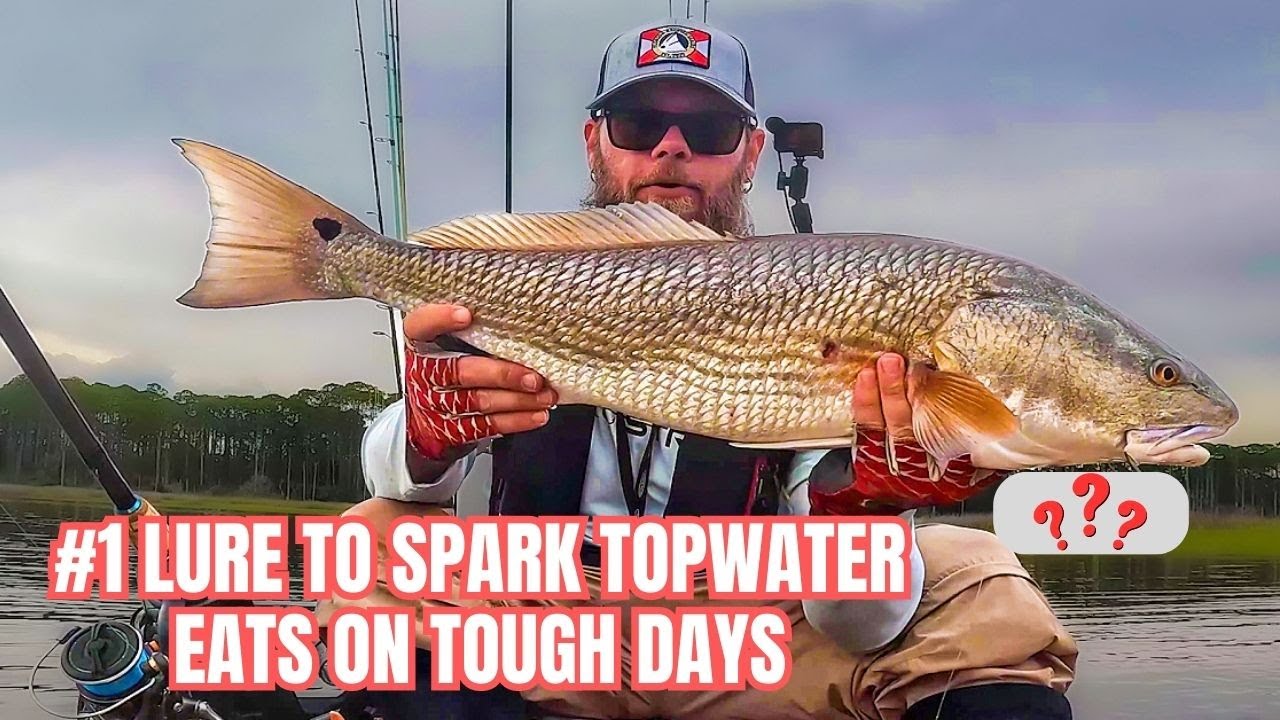 How To Spark Topwater Bites On Terrible Days - YouTube