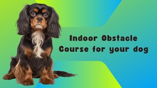 Unleash Your Cavalier's Inner Agility Star: DIY Indoor Obstacle Course for Fun and Enrichment