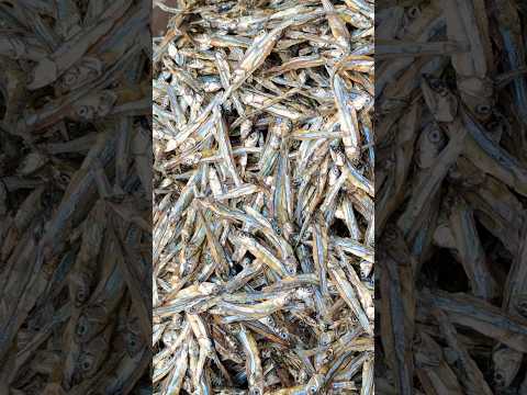 اغرب اكله شفتها في ع مان