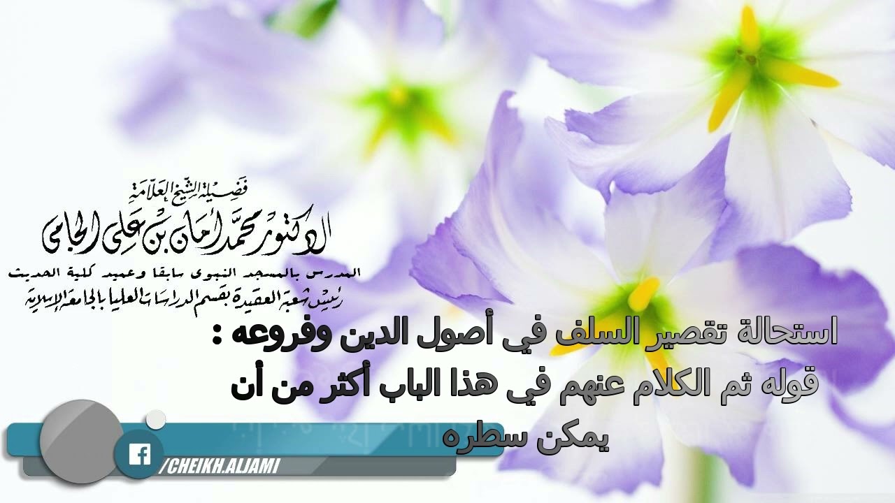 #الفتوى_الحموية_الكبرى -قوله ثم الكلام عنهم في هذا الباب أكثرمن أن يمكن سطره - الشيخ د. #محمد_الجامي