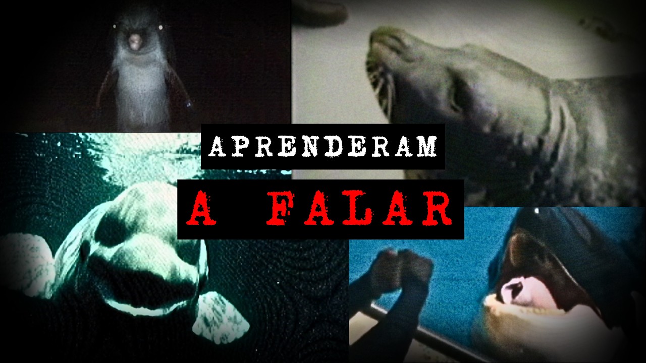 Animais Marinhos Imitando Vozes Humanas São Assustadores