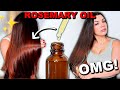 ROSEMARY OIL FOR HAIR GROWTH | How To Use Rosemary Oil For Extreme Hair Growth