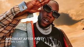 Afrobeat After Party Mix   Burna Boy, Wizkid, Mr Eazi, Rema, Davido, Tekno, Afro B, Maleek Berry 🔥🔥