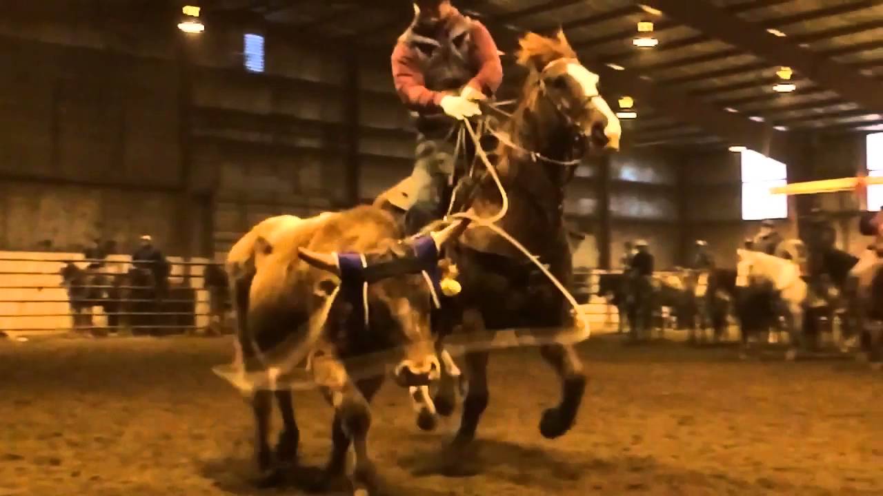 Northern Rodeo A Day In The Life Of A Roper YouTube