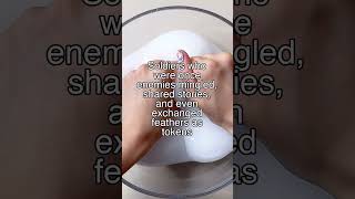 The Great Feather Festival That Halted a War #shorts