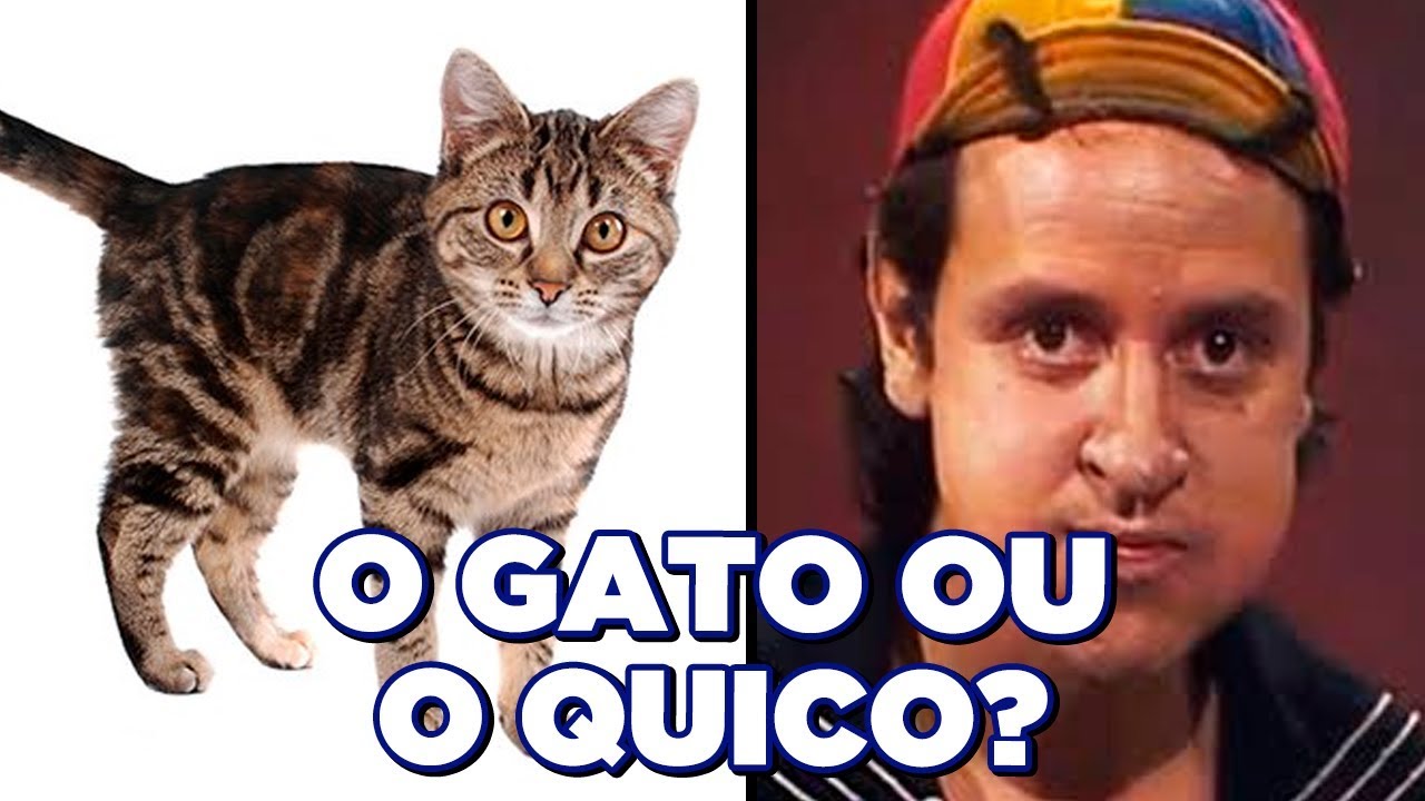 O GATO OU O QUICO?! 🐱 RELEMBRE os ANIMAIS DO SERIADO CHAVES! 🐶