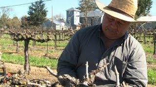 Etats-Unis: les agriculteurs veulent une réforme de l'immigration