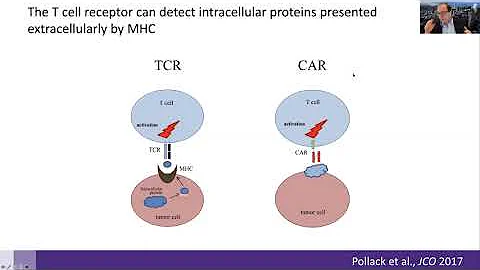 New Immunotherapy Approaches for Soft Tissue Sarcoma