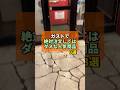 ガストで絶対頼んではいけない人気商品3選がヤバすぎた... #ガスト #チェーン店 #裏ワザ #やまの飯日記 #人気商品