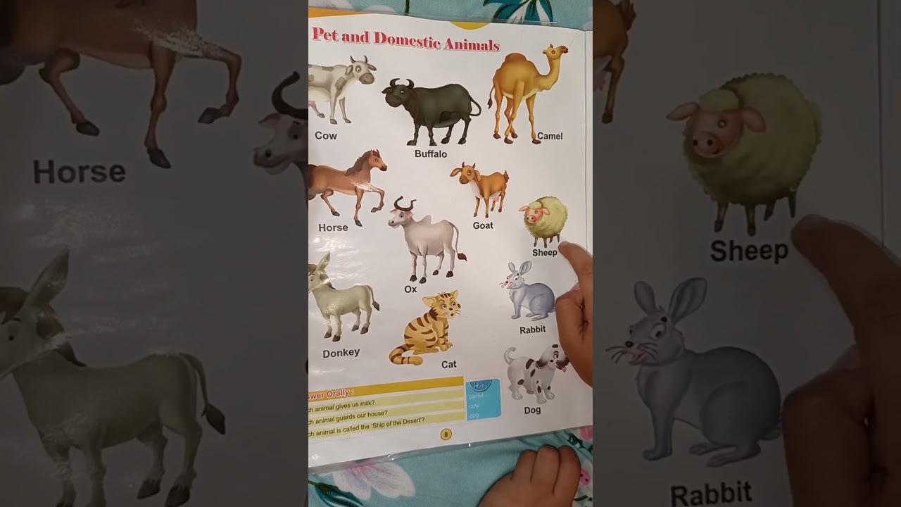 “Kids Learning Animal Names  | Fun Learning for Kids "
