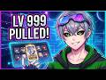 Silver Wolf 999 Pulls Video