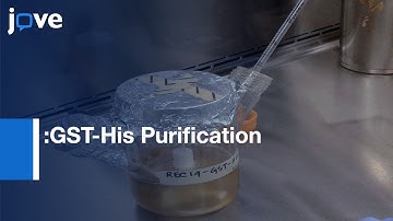 Two-Step Affinity Purification Yielding Full-Length Purified Proteins l Protocol Preview