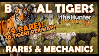 CONFIRMED RARES For the BENGAL TIGER & MORE From EW!!! - Call of the Wild (Sundarpatan News)