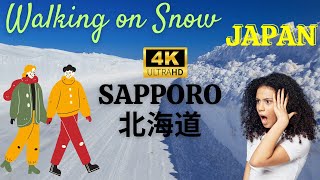 Walking in Snow to Hokkaido University 北海道大学| Life in Japan |  Japan Travel | Hokkaido University