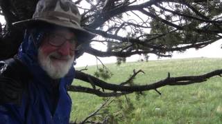 Rain Hail, Sun River Game Range
