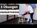 3 effektive Übungen bei Kniearthrose : Damit kannst du deine Beschwerden verbessern! (für zuhause)