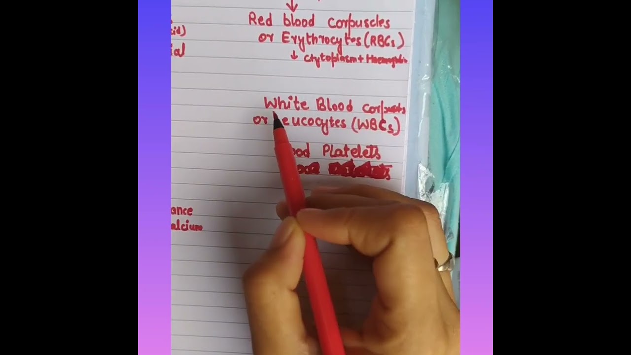 How blood form in body?