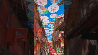 014 china2536  Tiktok      2020 03 13 17 44 25