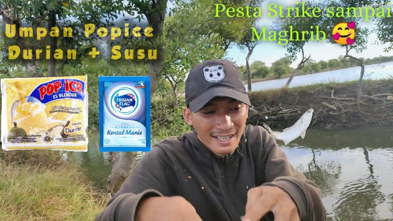 SPOT MANCING BANDENG LIAR PAKAI UMPAN POPICE DURIAN + SUSU KENTAL MANIS