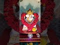 #shorts #youtubeshorts #ganeshchaturthi #ganpatibappamorya #ganeshutsav #walkwithvivaanandaarav