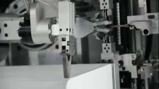 Automatic Tin Dipping Machine Both ends TATL-RY-02 2 Wealth