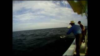 Maryland - Day - Fish5050