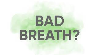 Does Your Pet Have Bad Breath? by Virbac US 988 views 2 years ago 1 minute, 4 seconds
