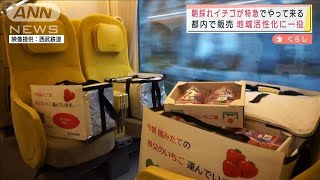 秩父で朝とれたイチゴを特急で直送　都内で販売(2022年1月12日)