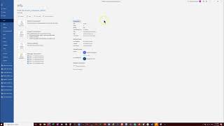 Details W11 Properties Guide