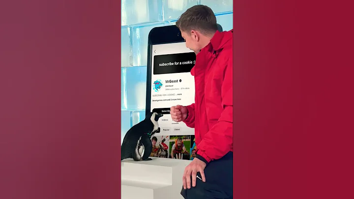 omg #helpmemakethismakesense #automobile #challenge #funny #penguin