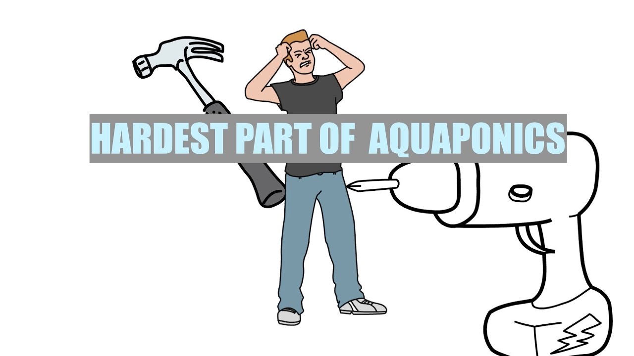 hardest part of learning aquaponics ask the aquaponics