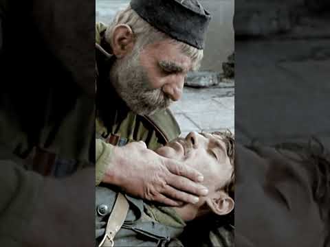 Отец солдата нашел своего сына #shorts #шортс #фильм #кино #драма
