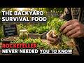 The Backyard Survival Food Rockefeller Never Needed You To Know